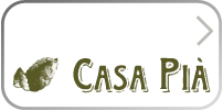 boton casa pia